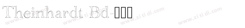 Theinhardt Bd字体转换